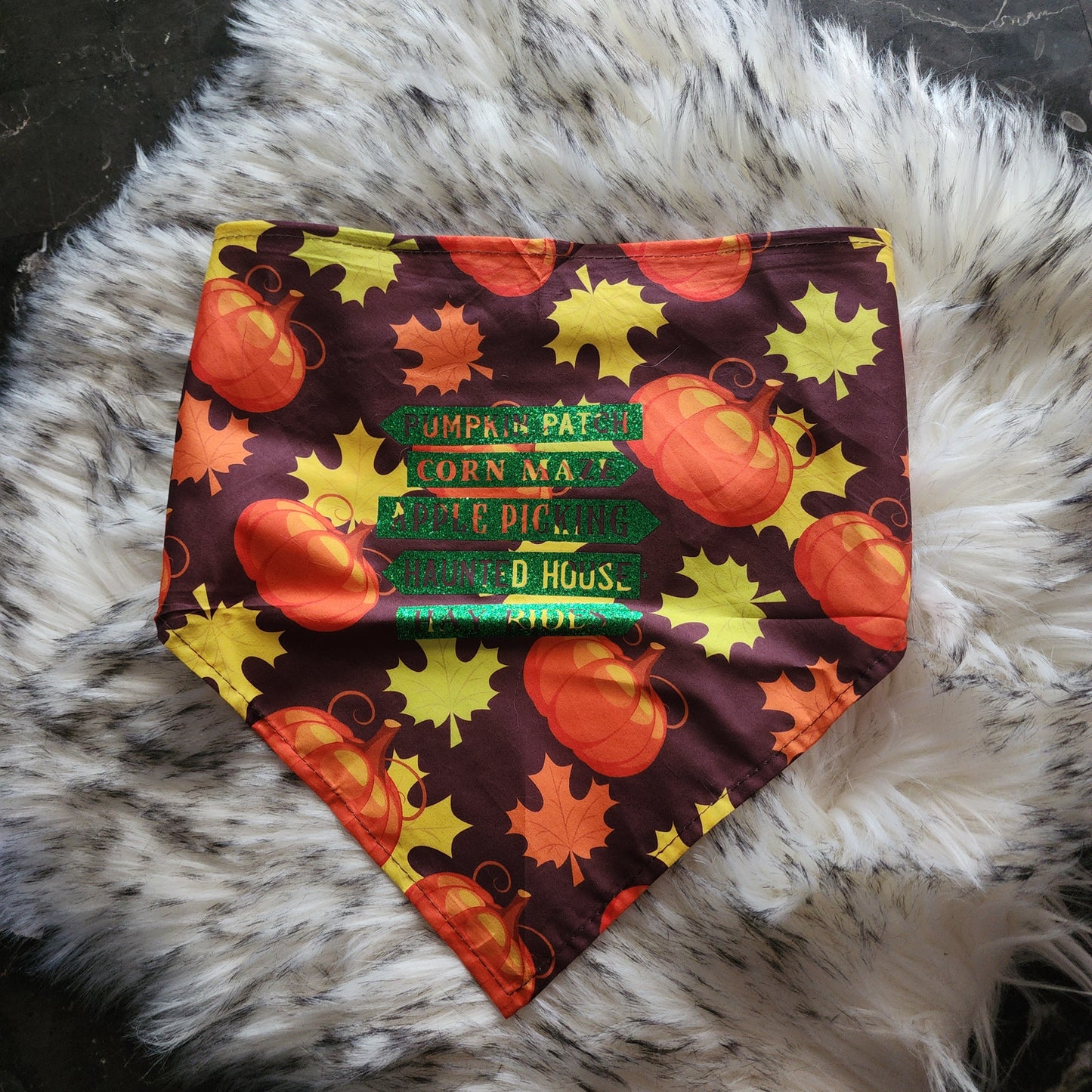 Pumpkin patch pet bandana