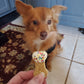 Peanut butter dog treats- Peanut butter pet treats- Organic dog treats- gourmet dog treats- Healthy dog treats